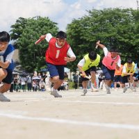 幸せ便りR7.5.29