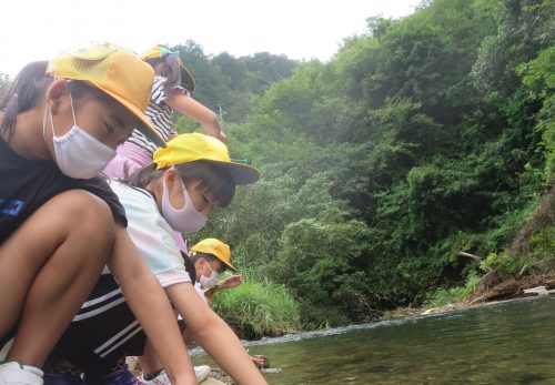 ５年生文化の森活動「流れる水のはたらき」その２