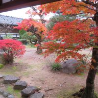 ６年修学旅行記②「高山陣屋（国指定史跡）」見学