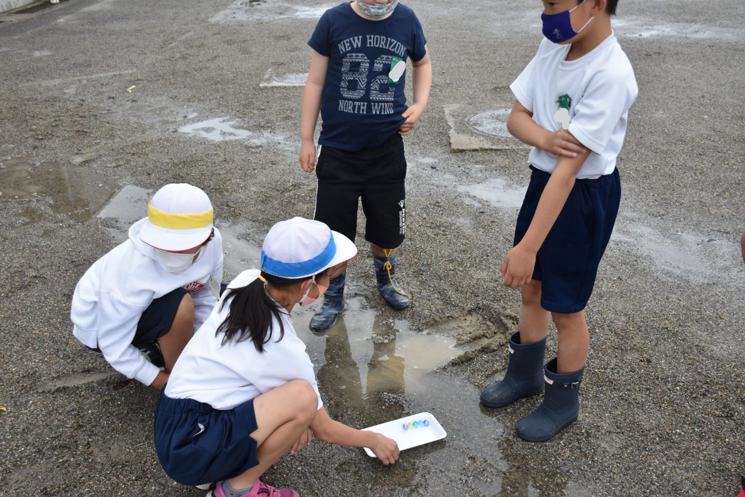 4年理科「水の流れと地面のかたさの関係」 美濃加茂市立加茂野小学校