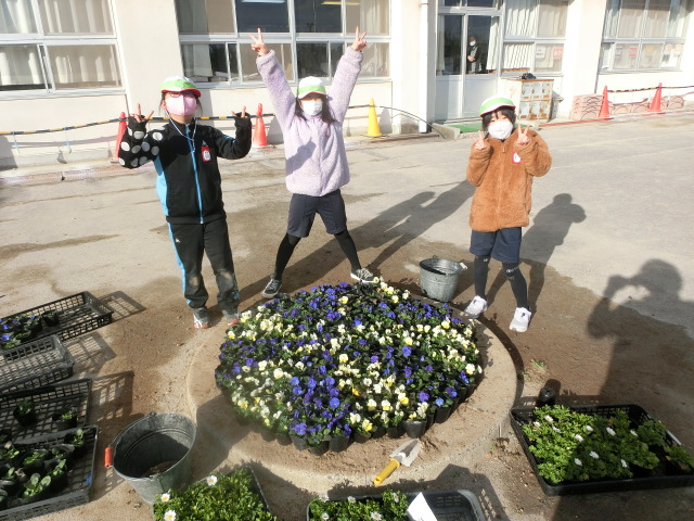 育てた花を花壇へ植え替えました 美濃加茂市立 古井小学校