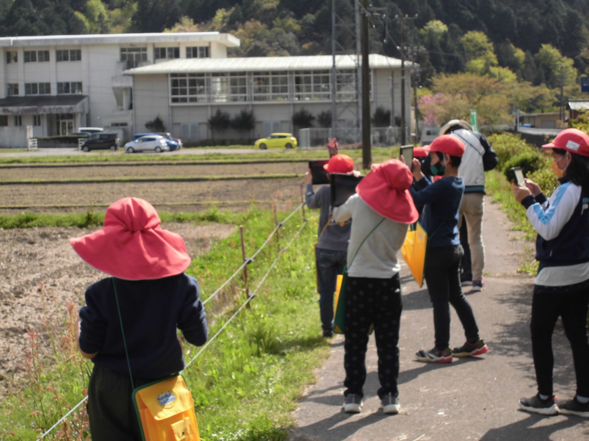 3年生 美濃加茂市立三和小学校