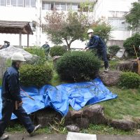 加茂農林高等学校さんによる中庭整備（１０月３０日）