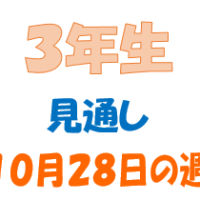 １０月２８日の週の見通し