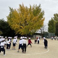 １年生　１２．２～の見通し