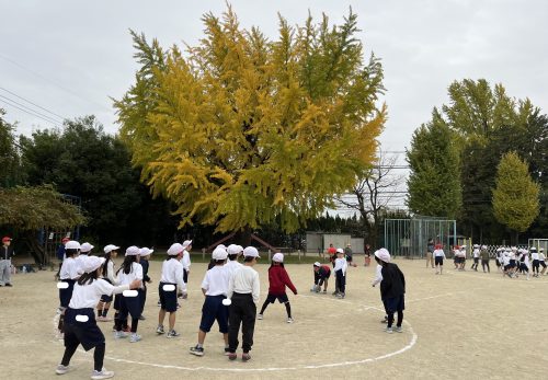 １年生　１２．２～の見通し