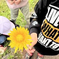 ２年生　２１日～の見通しです。