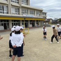 5.12～の見通しです
