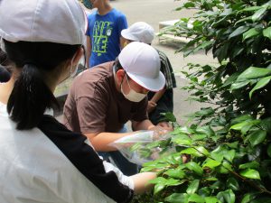 植物のつくりとはたらき 美濃加茂市立下米田小学校