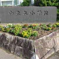 町の人たちの協力で、学校周辺がきれいになったよ！