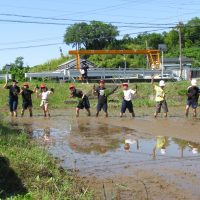 田植えを自分たちの手で　～５年・総合的な学習の時間～