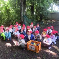 里山は、やっぱり楽しい！　～１，２年生・子ども園の里山にて～