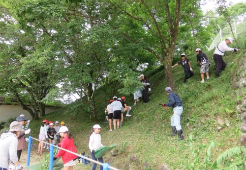 みんなで学校をきれいにしよう。　～草刈り・草集め～