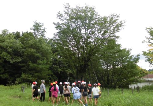 こんにちはー、久しぶりー　～4年生・総合的な学習の時間～