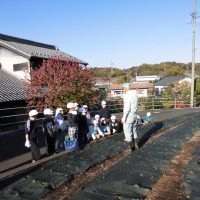 町の花壇を飾ったよ！　～２年・生活科～