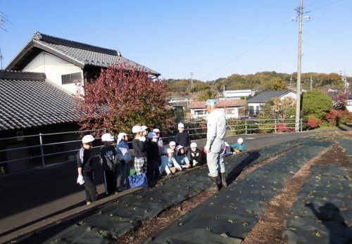 町の花壇を飾ったよ！　～２年・生活科～