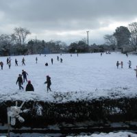 雪が解けなうちに、早く！