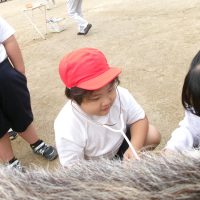 ヤギさんと自分の心臓の速さは、どっちが速い？　～１，２年・生活科～