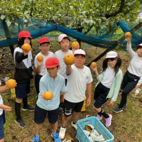収穫だぁー　～6年・総合的な学習の時間～