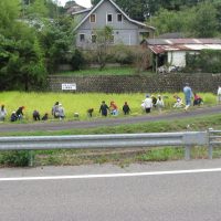 稲穂、刈ったどぉ。　～5年・稲刈り～