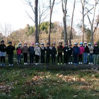 生きている木の内側は冷たい！　～５年・アベマキ学校机プロジェクト～