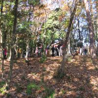 大満足！　～森の学習～