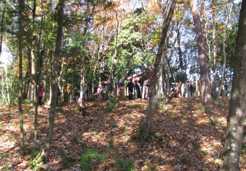 大満足！　～森の学習～